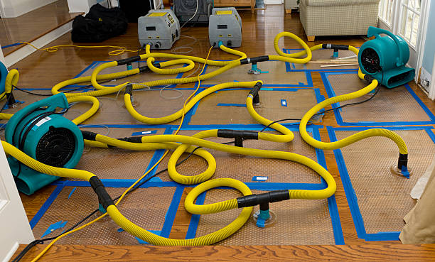 Professional Burst Pipe Water Damage technician working in Randolph, ME